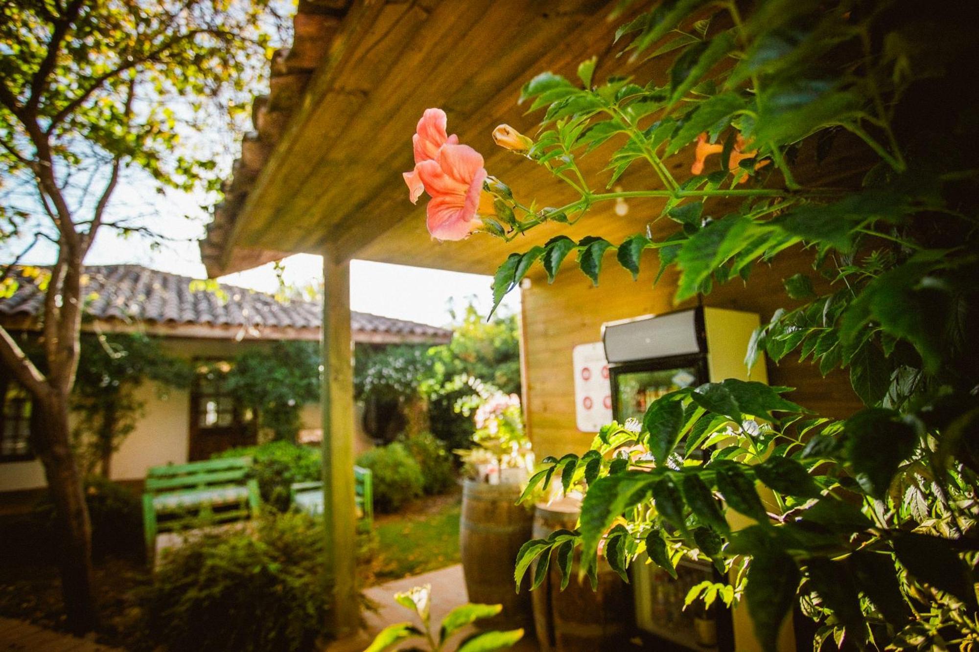 Hotel Hoja De Parra Santa Cruz Dış mekan fotoğraf